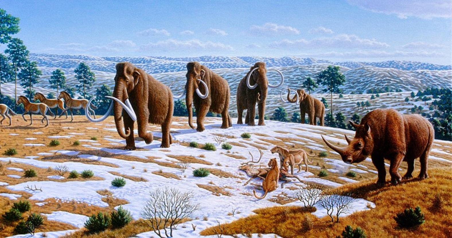 mammoth-steppe