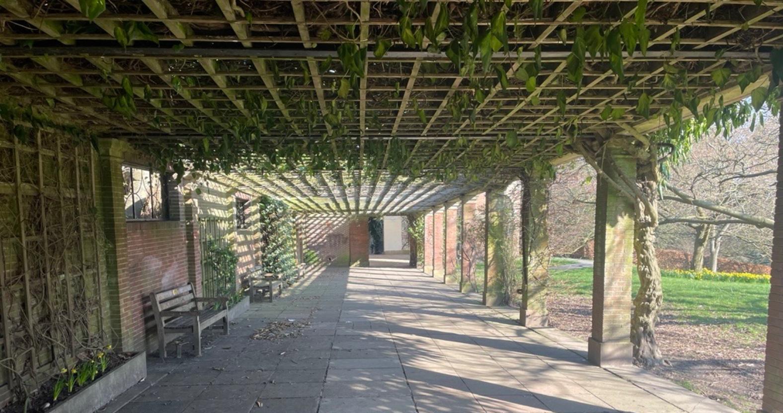 suncolonnade