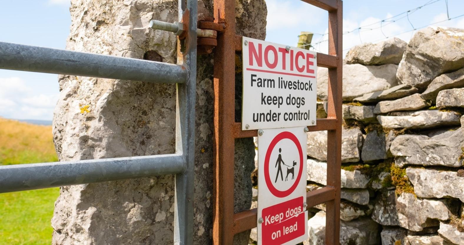 livestock-worrying