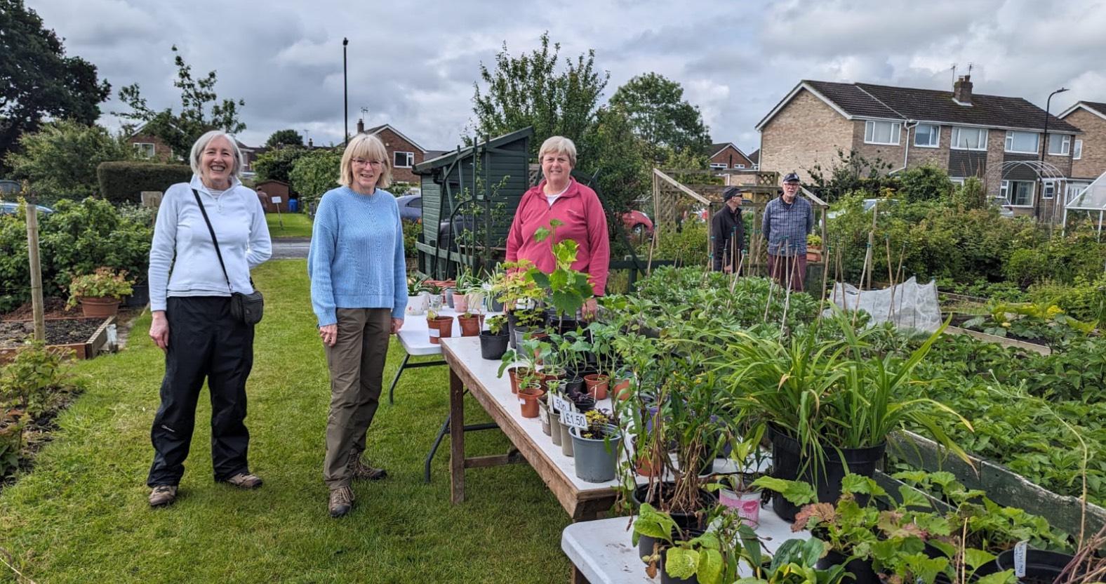 web-harlow-hill-allotments