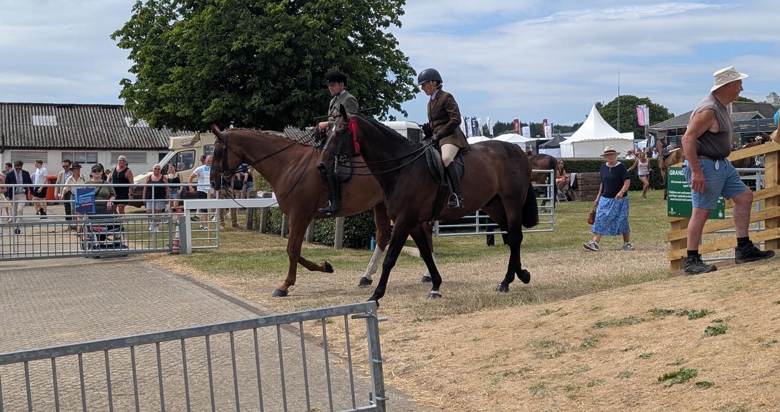 gys12