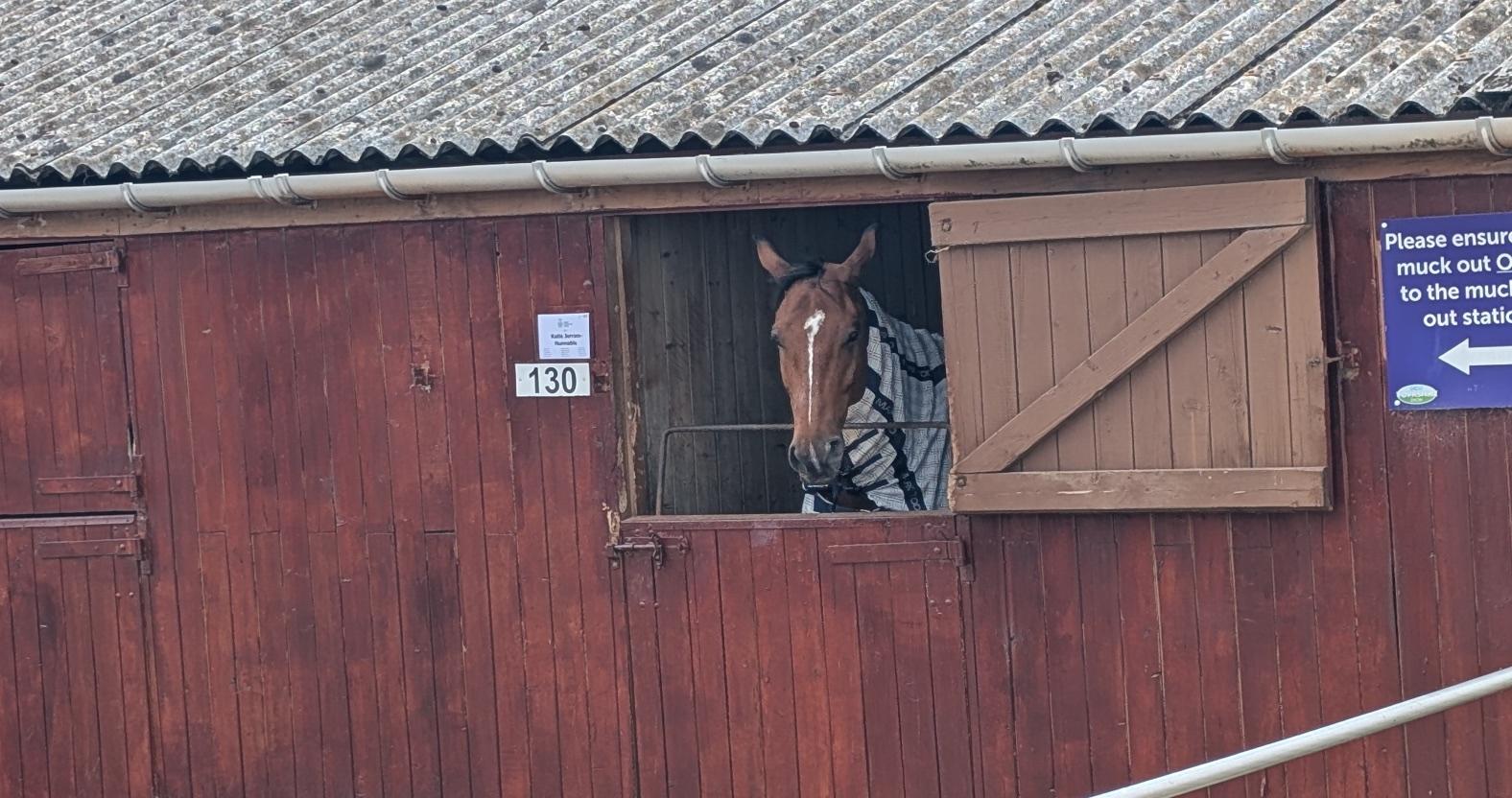 gys13