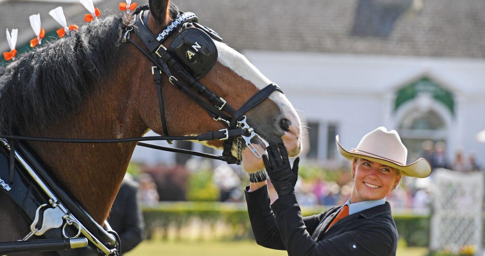 gys2026-heavyhorsesingles