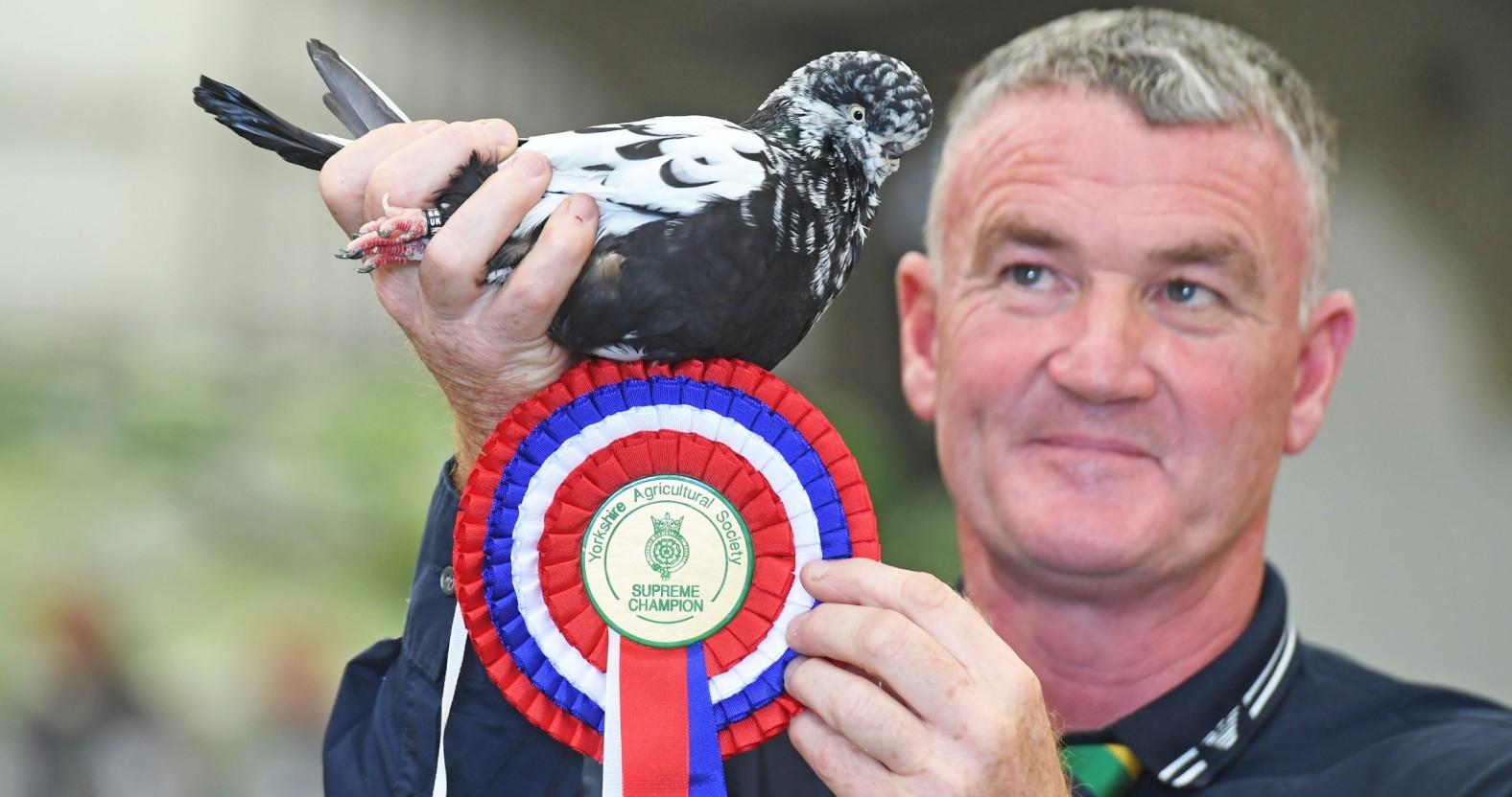 gys2026-supremepigeon