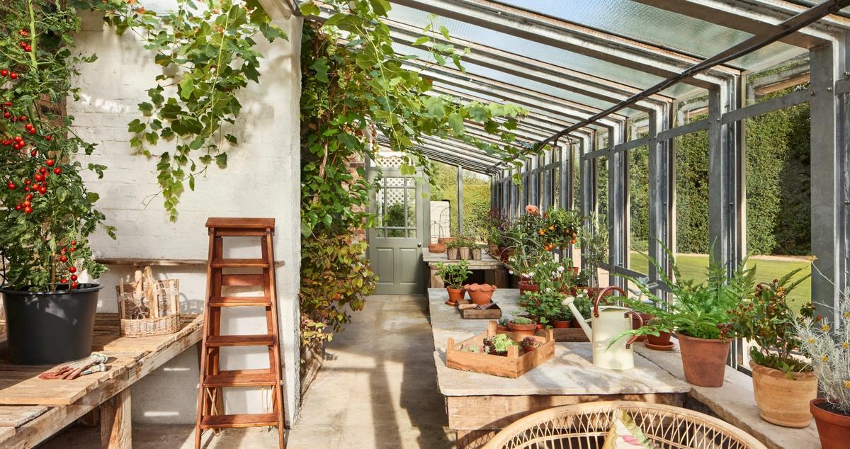 omaze-potting-shed