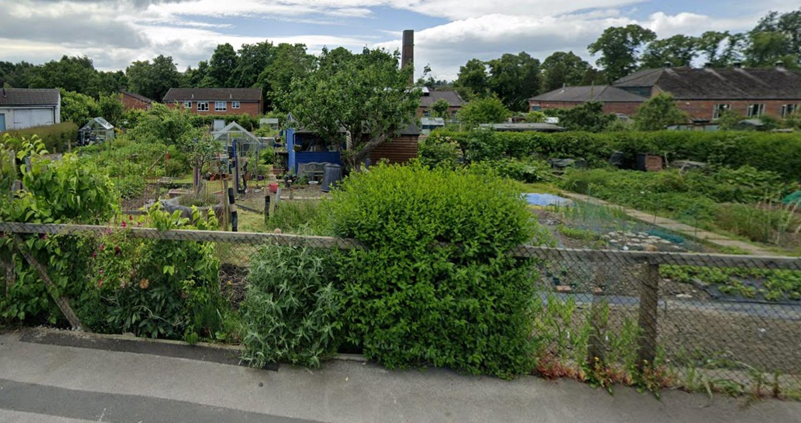 starbeck-allotments