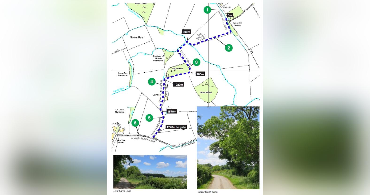 hammertongreenway1