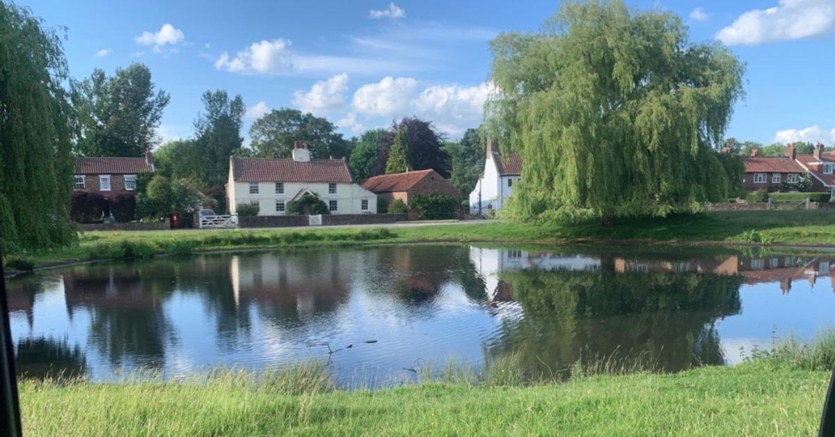 microsoftteams-image-44-4