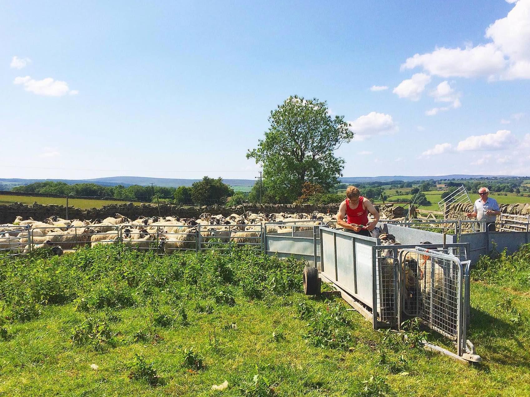 harrogate-farmer-plea
