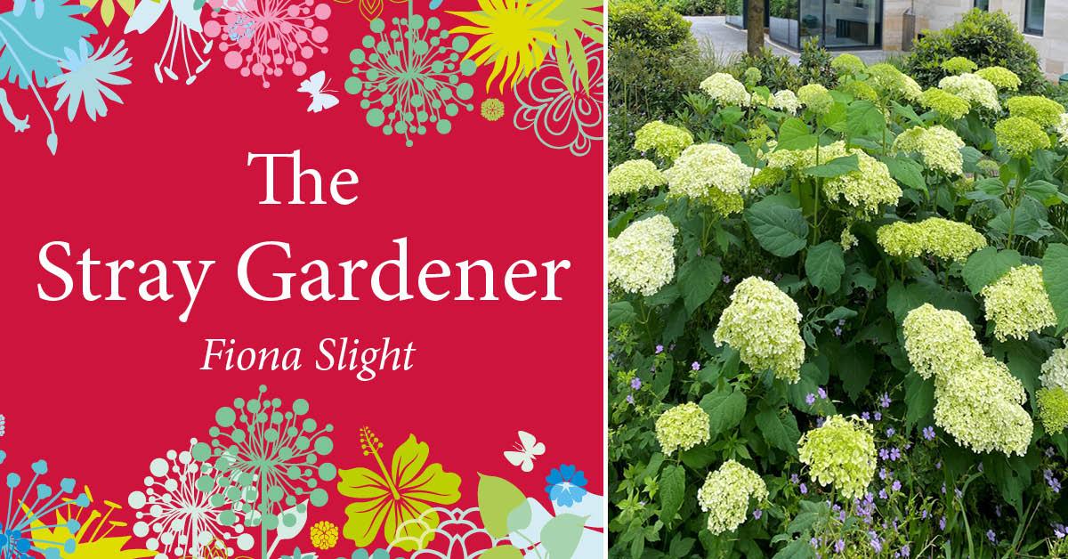 stray-gardener-june