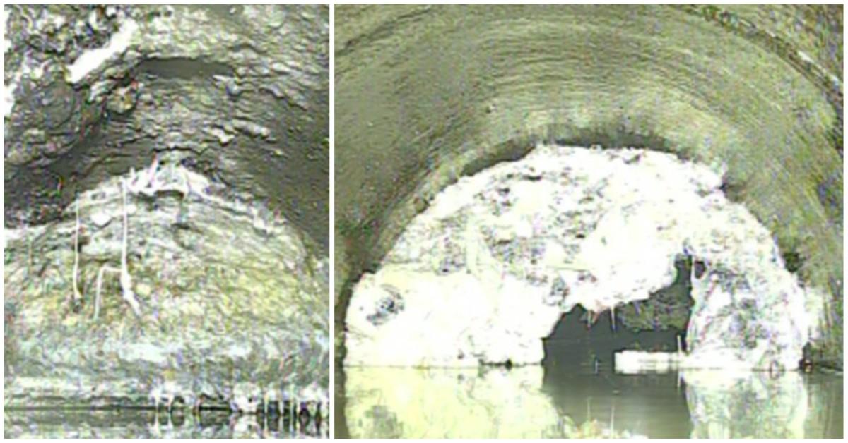 ripon-fatberg