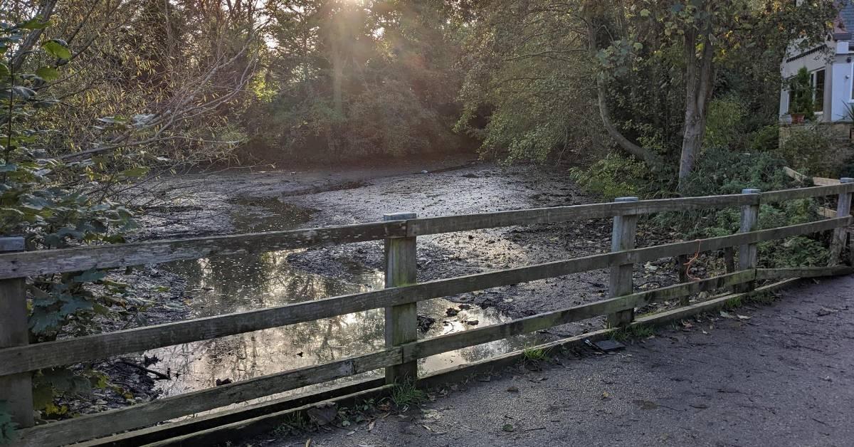 pannal-duck-pond-1