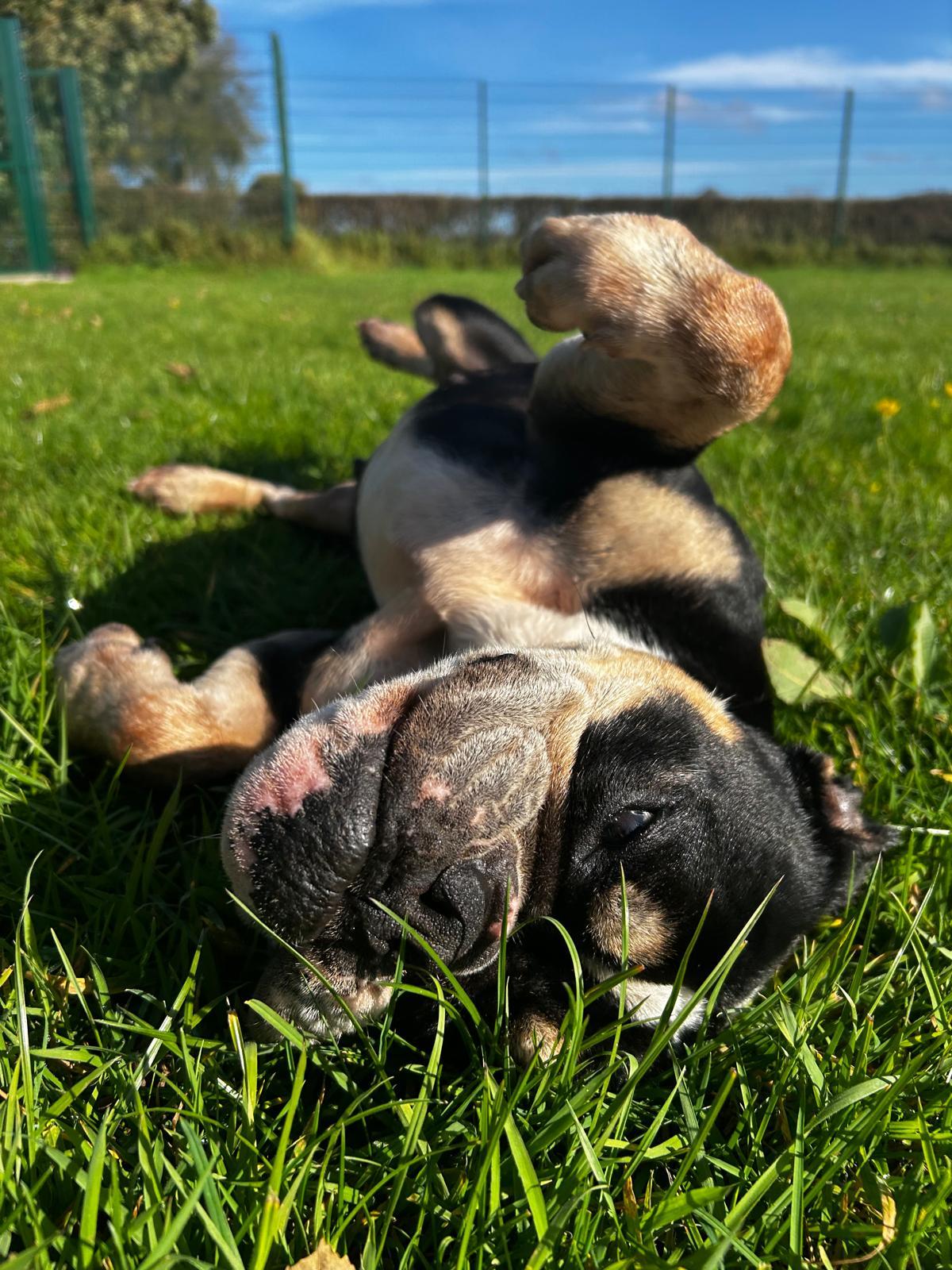 esther-after-rolling