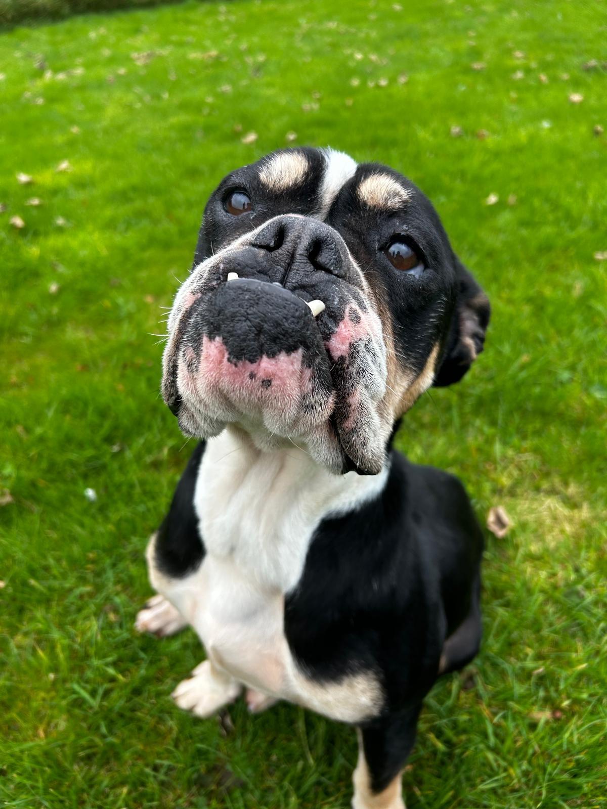 esther-after-sitting