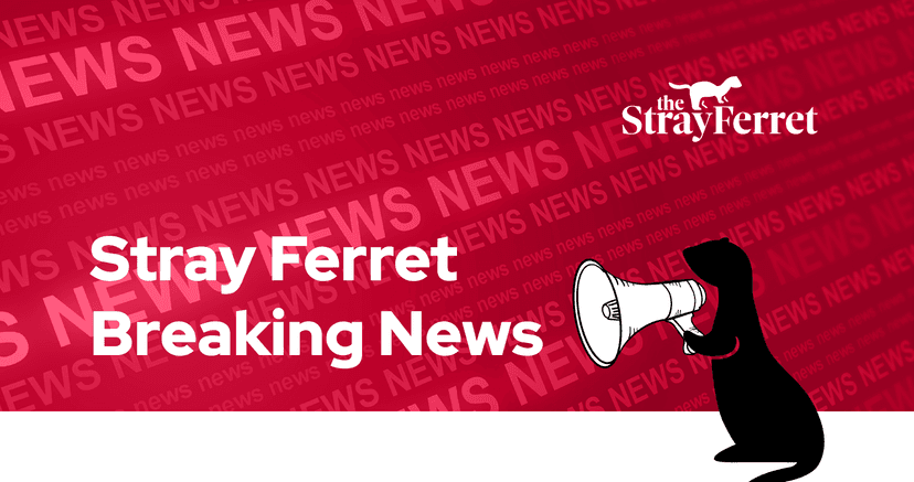 sf101-breaking-news