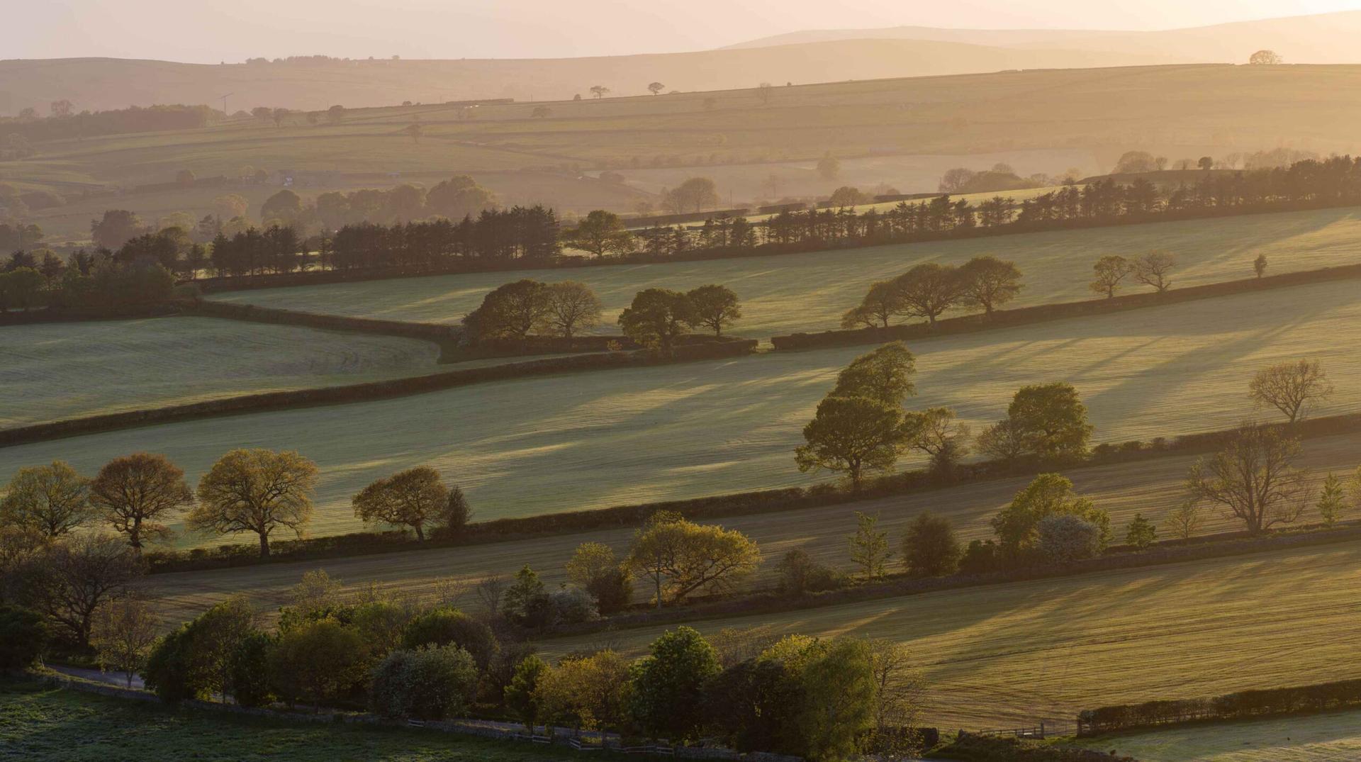 wharfevalley