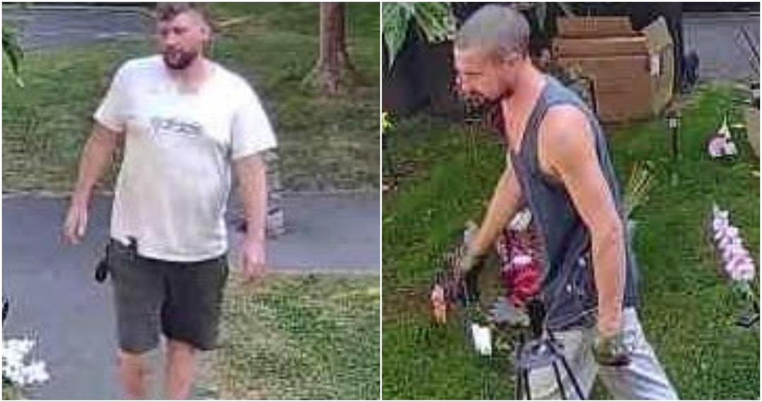 nyp-barbecuetheft-images