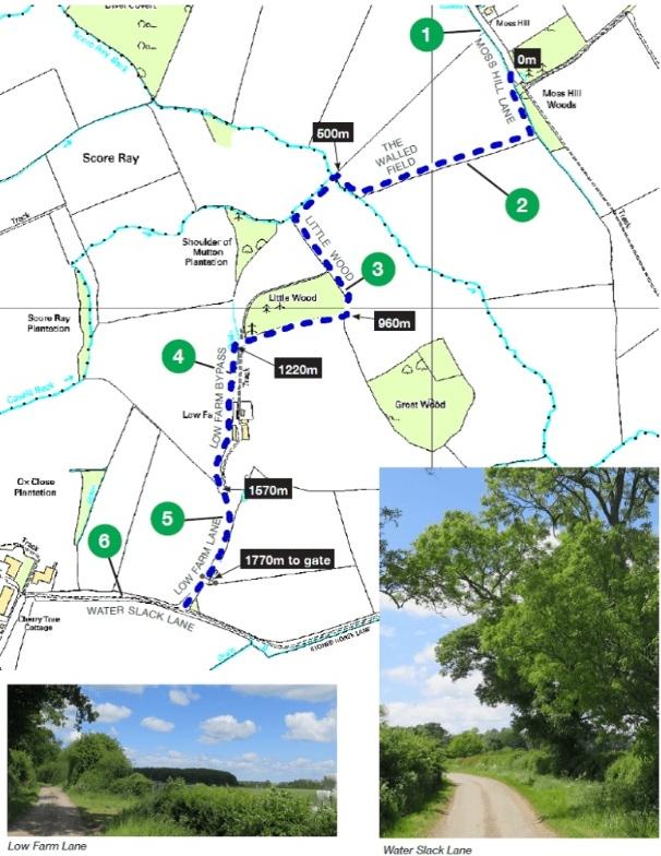 hammertongreenway-map-small