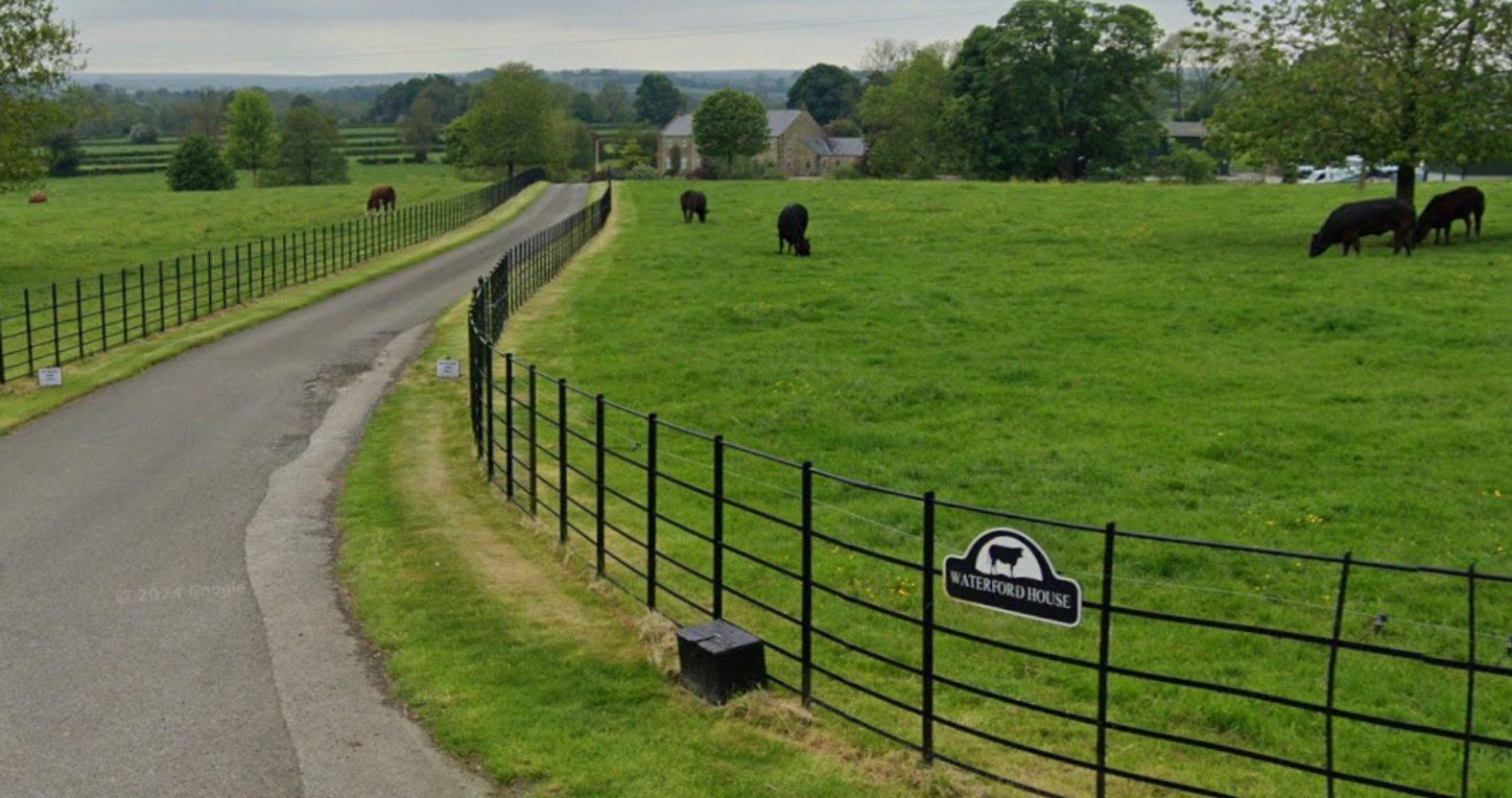 waterfordfarm-field