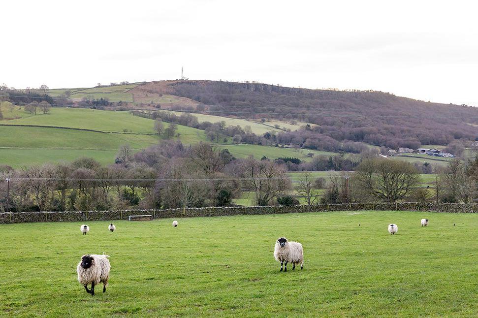 nidderdale-march-2020-2