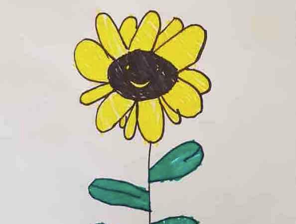 sunflower-3-1-1