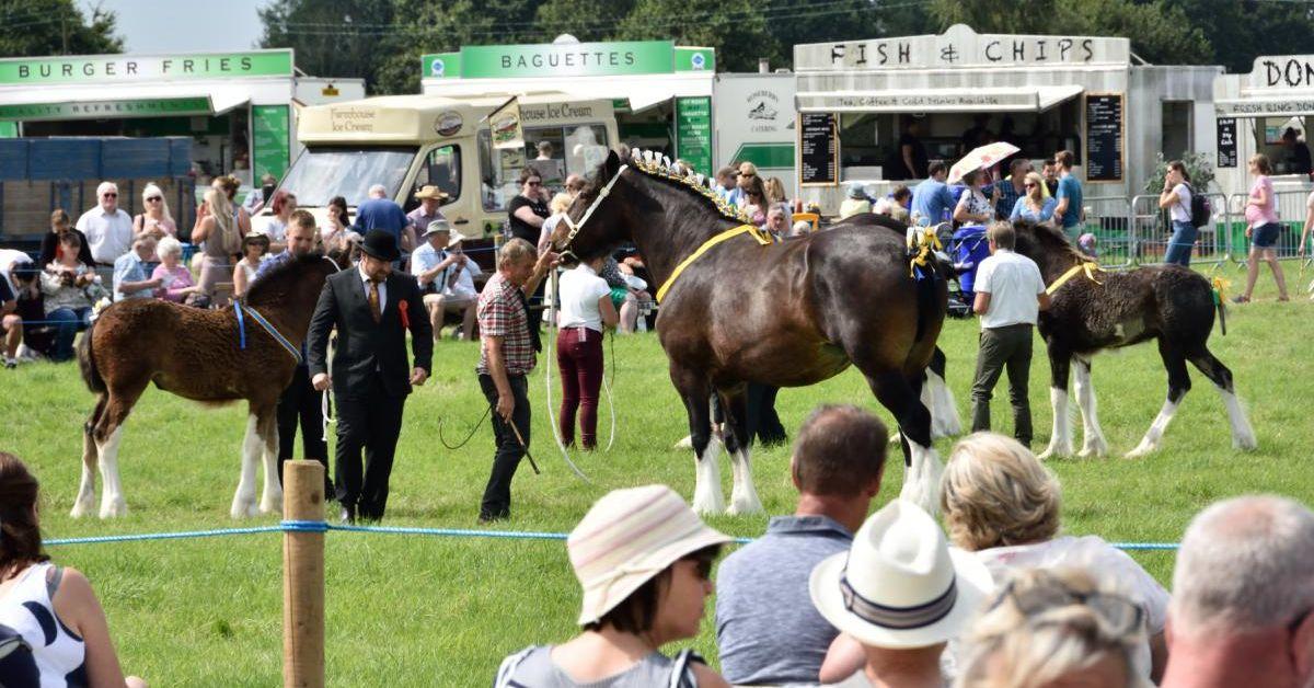 Tockwith Show 2019 pic credit: Steve Ross