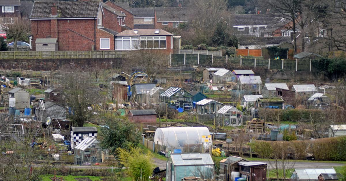 unity-grove-allotment-2