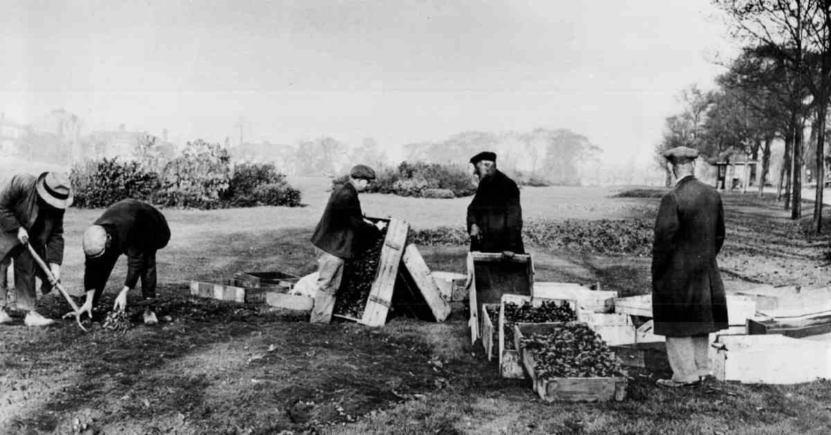 west-park-stray-1934-removal-of-illegal-flower-beds