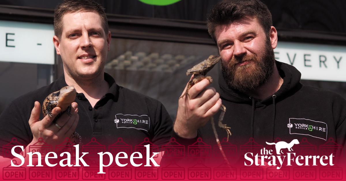 yorkshire-reptile-sneak-peek