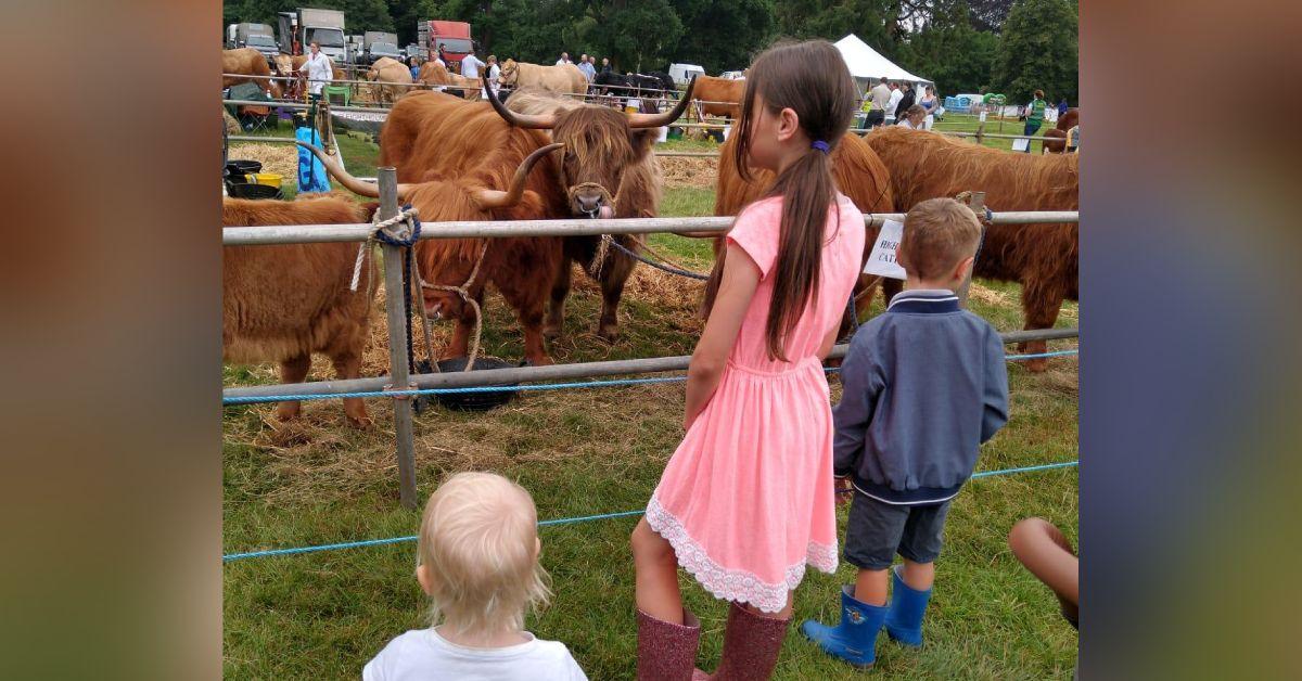 Aldborough and Boroughbridge show