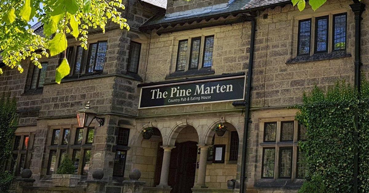 pine-marten-harrogate