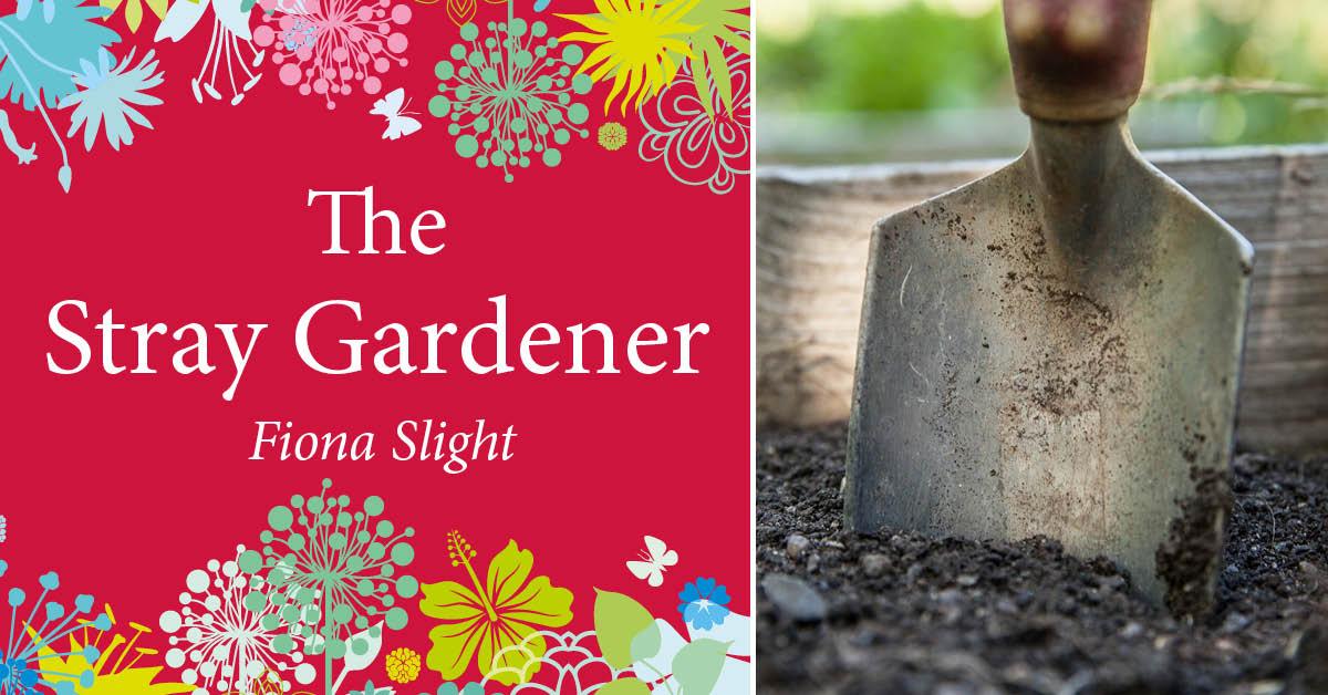 stray-gardener-no-dig