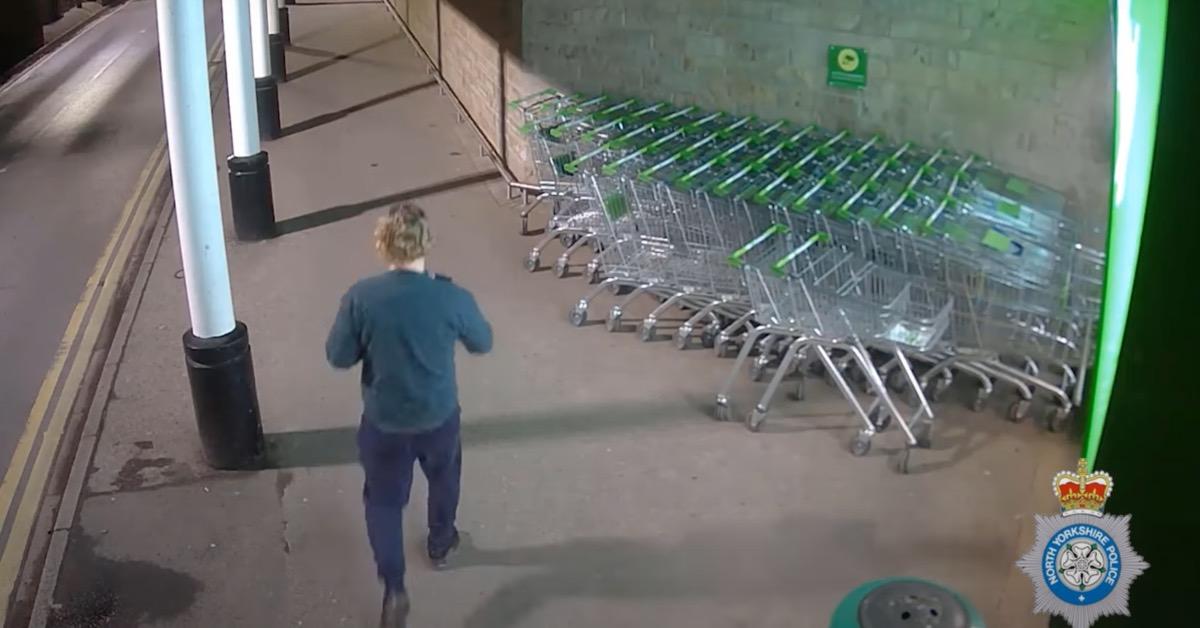 danielainsleycctv