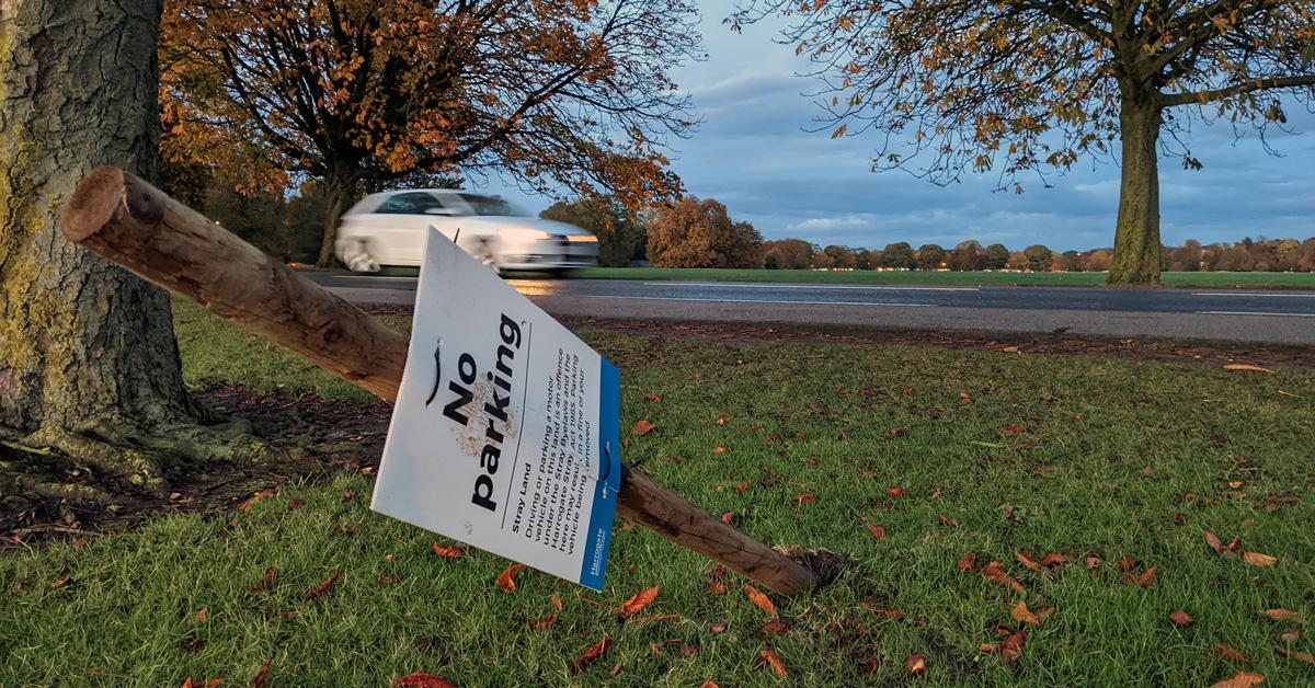 no-parking-sign-stray