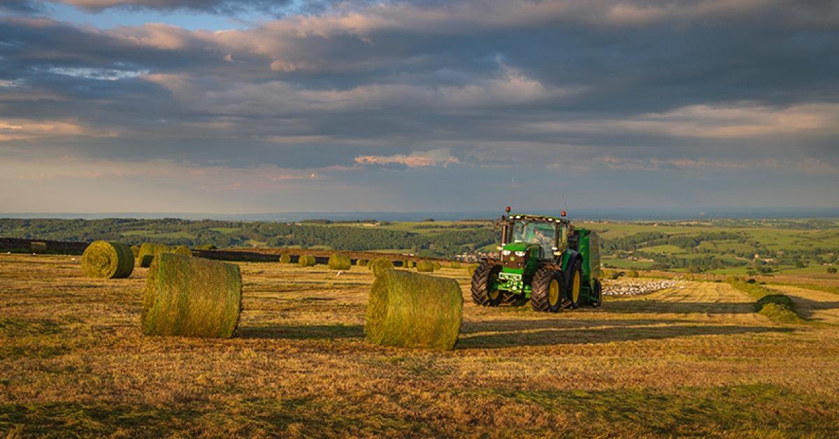 nidderdale-farming