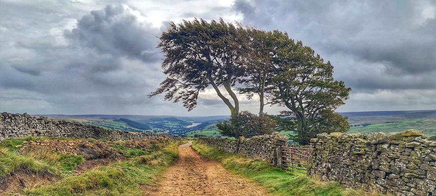 Nidderdale Pic by Bernard Smith