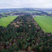 Harrogate Spring Water