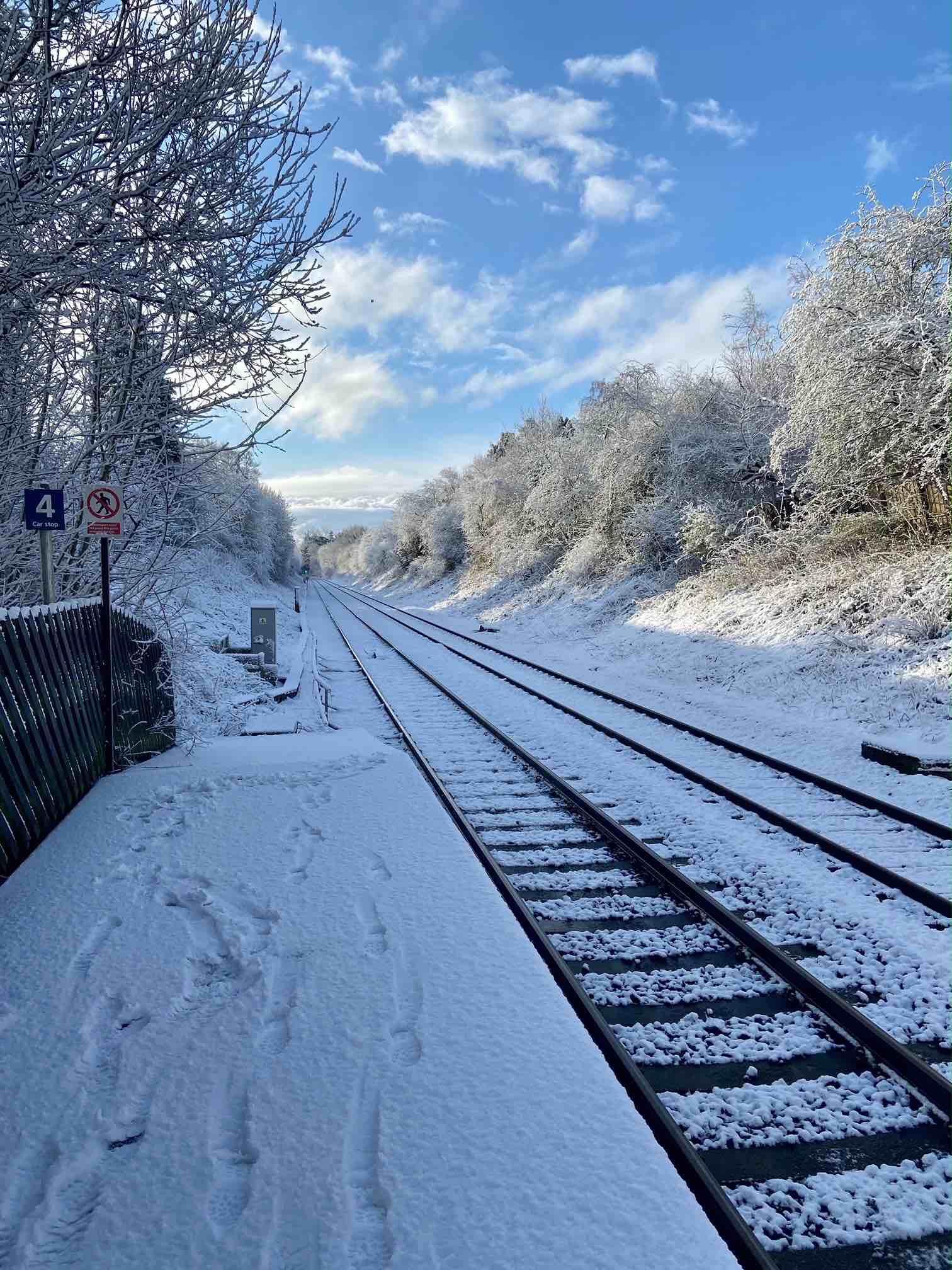 Picture from Hornbeam Park this morning. Picture from Vicky Galbraith.