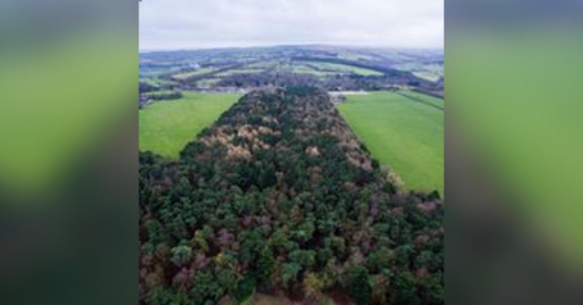 rotary-wood
