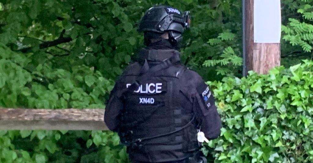 armed-police-pinewoods