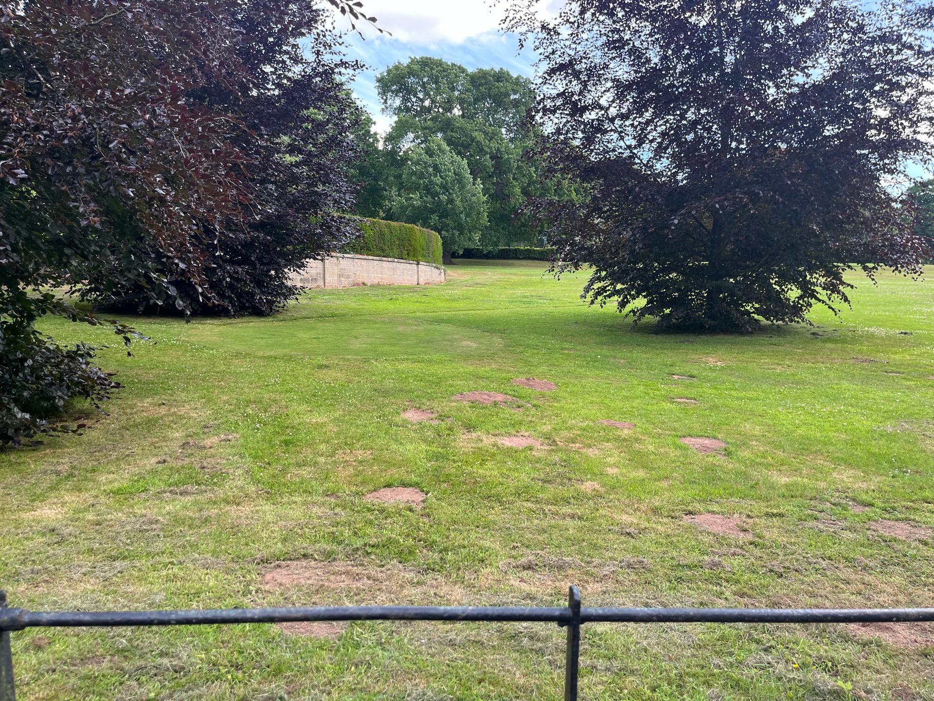 golf course at conyngham hall