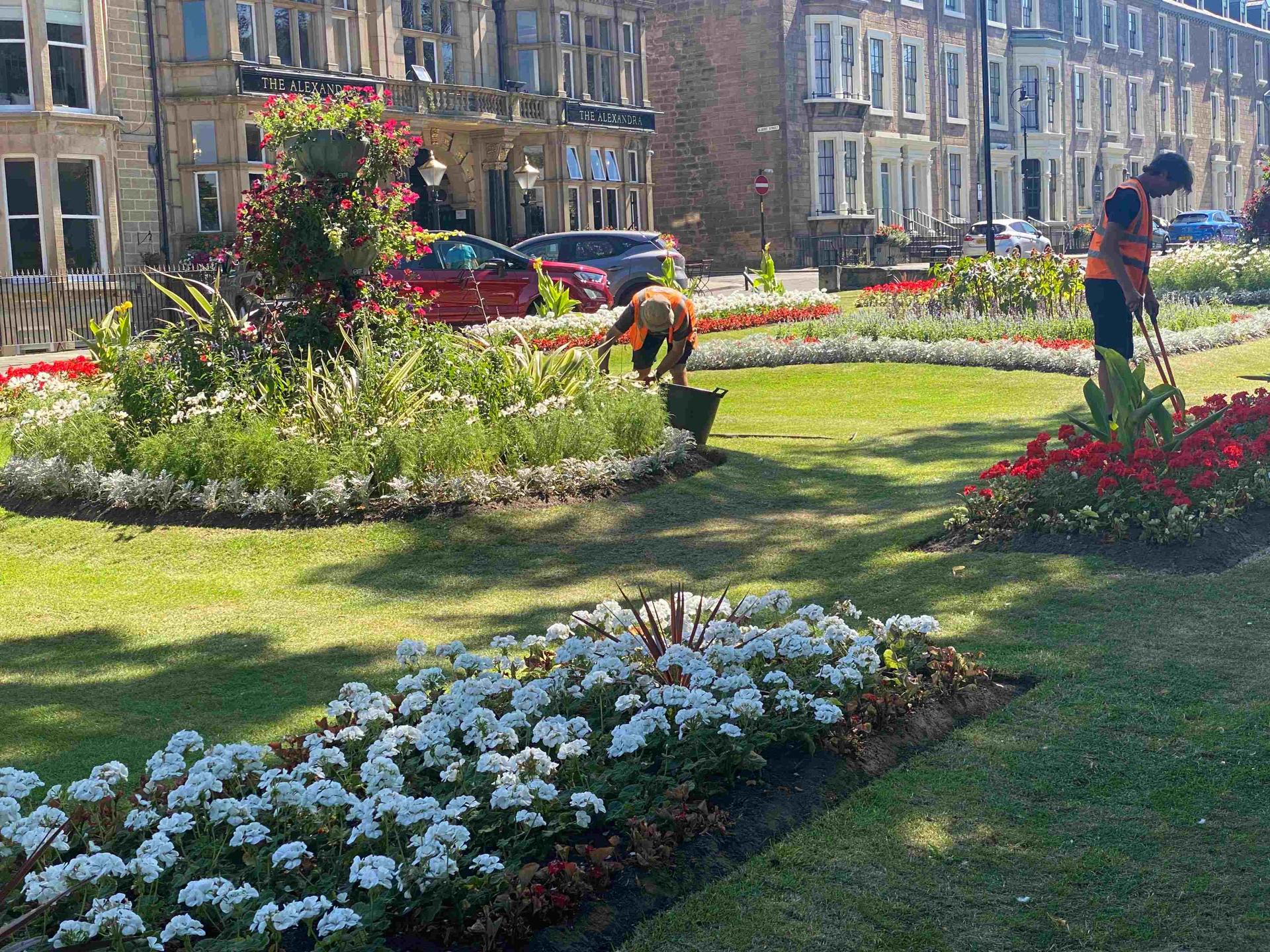 Harrogate parks staff