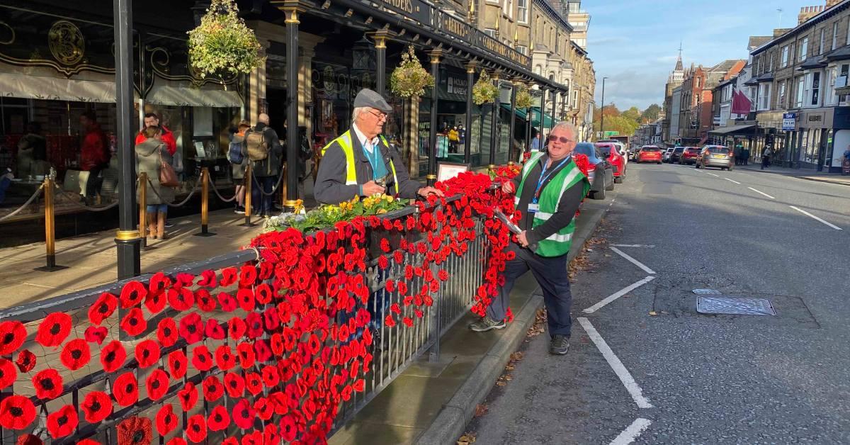 poppy-display-bettys