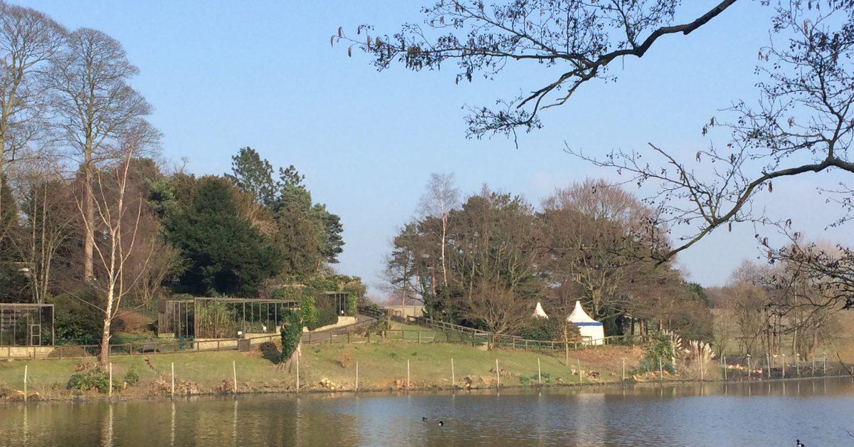 harewood-bird-garden