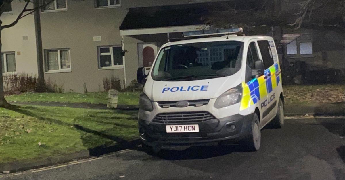 Dene Park police van