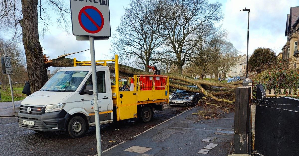 North Yorkshire County Council's highways teams arrived to deal with the tree this morning.