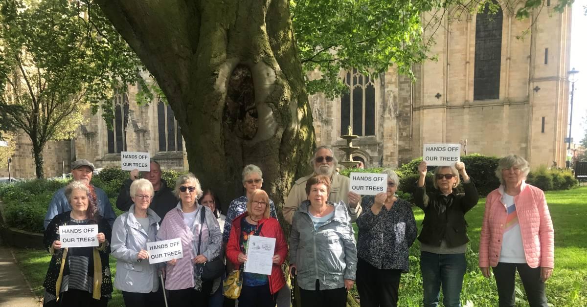 ripon-10th-may-2023-tree-campaigners