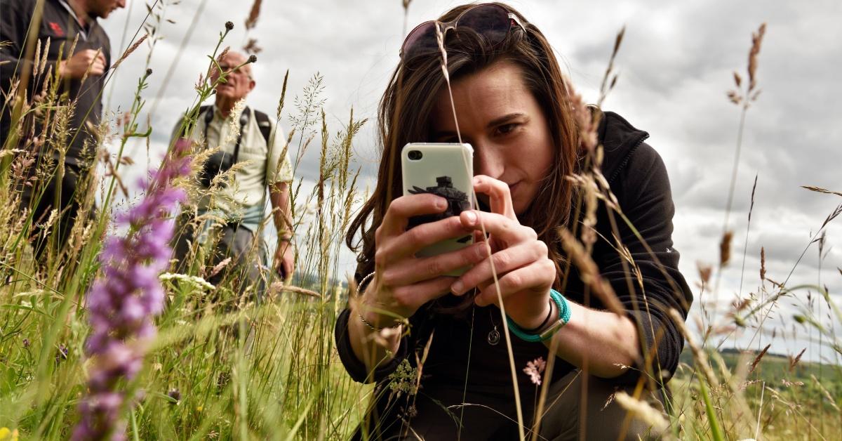 visitor-taking-close-up-pictures-in-the-meadow-at-sharpenhoe-clappers-sharpenhoe-bedfordshire