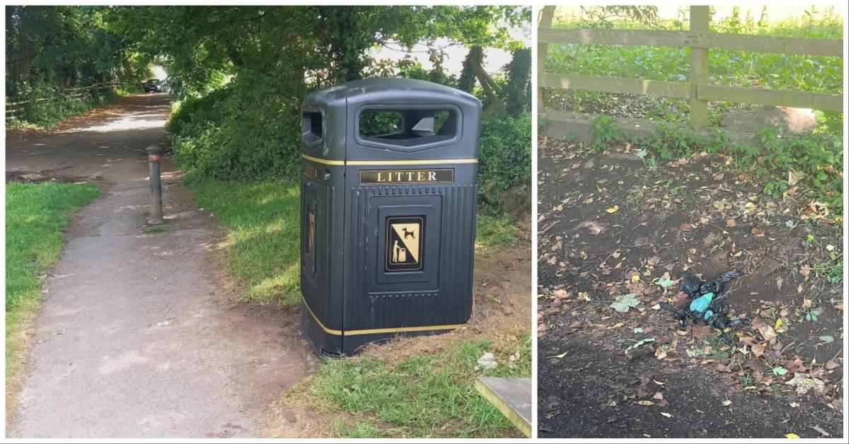 Composite image of, on the left, a new bin placed at the end of Knox Lane in Harrogate by North Yorkshire Council, and, on the right, bags of dog faeces doscrded by dog-walkers in the place where the old dog-waste bin used to be.