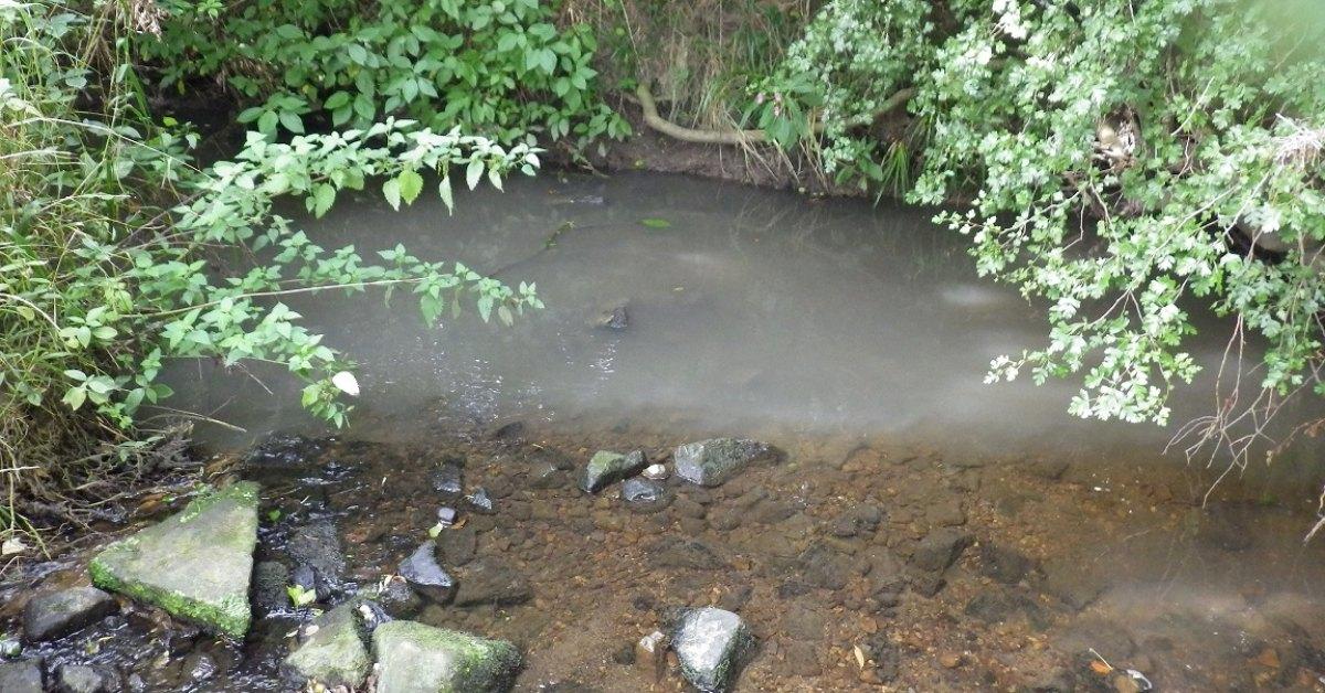 A photo of cloudy water in Hookstone Beck caused by pollution from an unauthorised sewage release by Yorkshire Water.